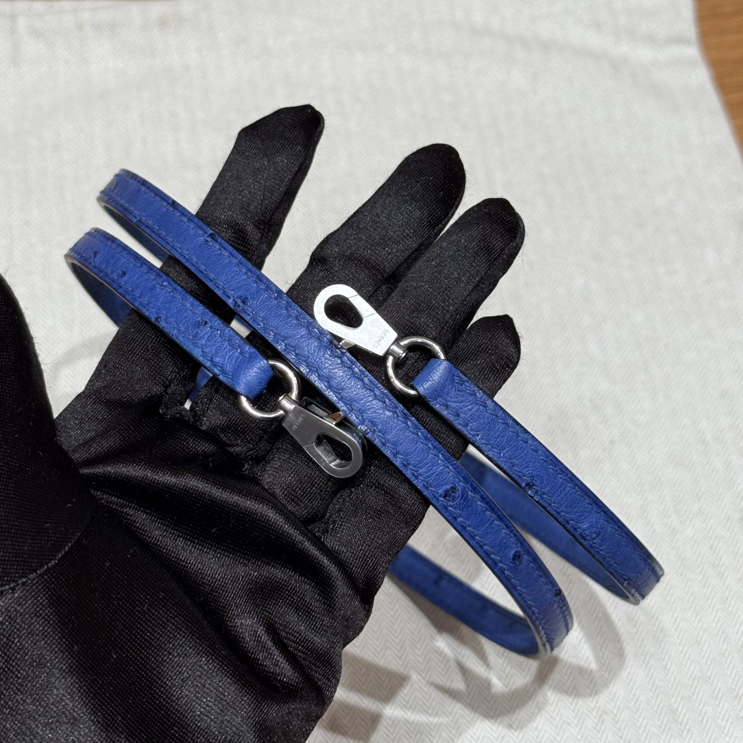 Hermès  Mini Kelly2 Size19 Blue roy  KK ostrich imported