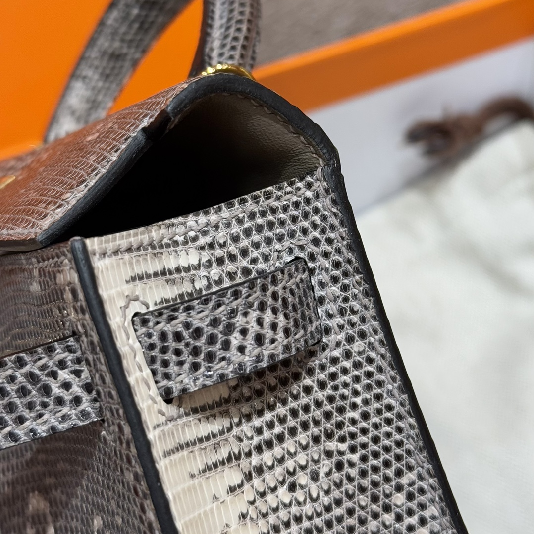 Hermès  Mini Kelly2 Size19 Ombre Lizard imported
