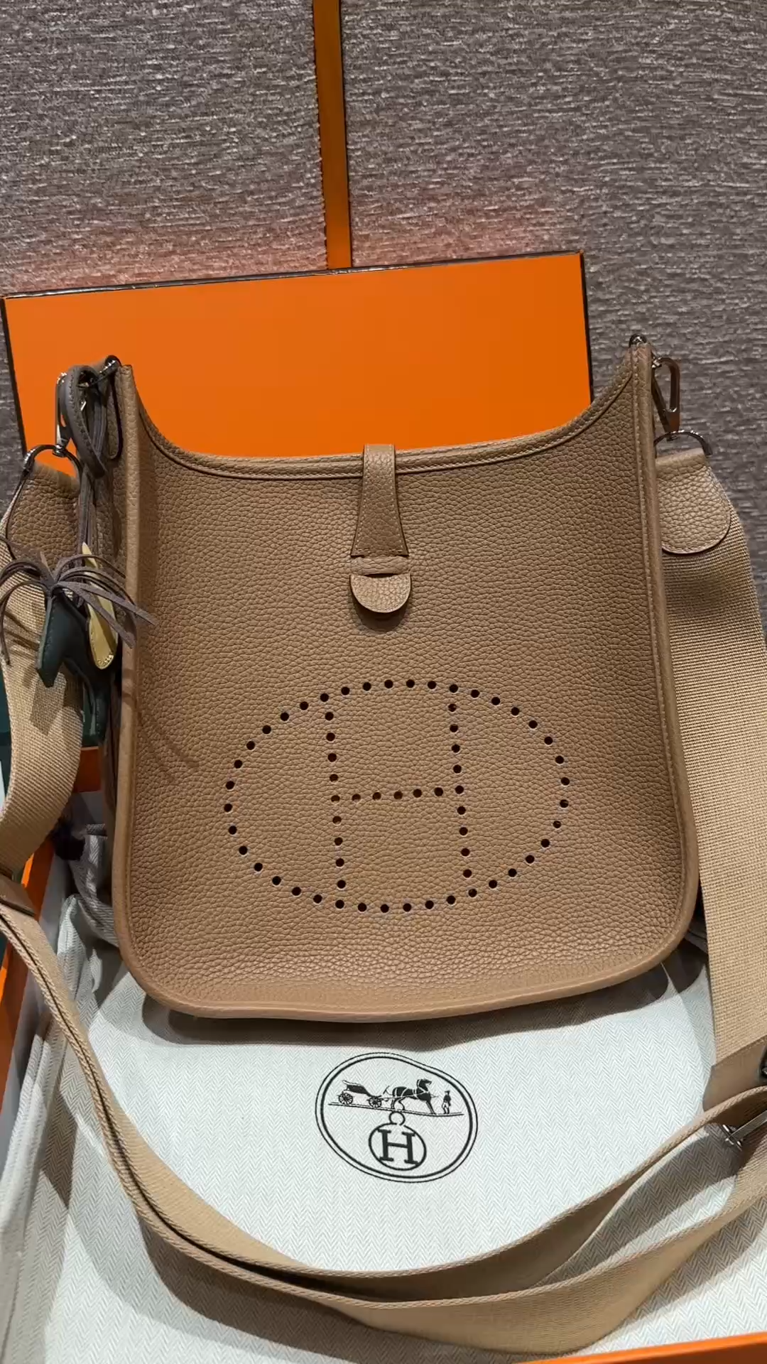 Hermès  Evelyne 29 Chai Clemence