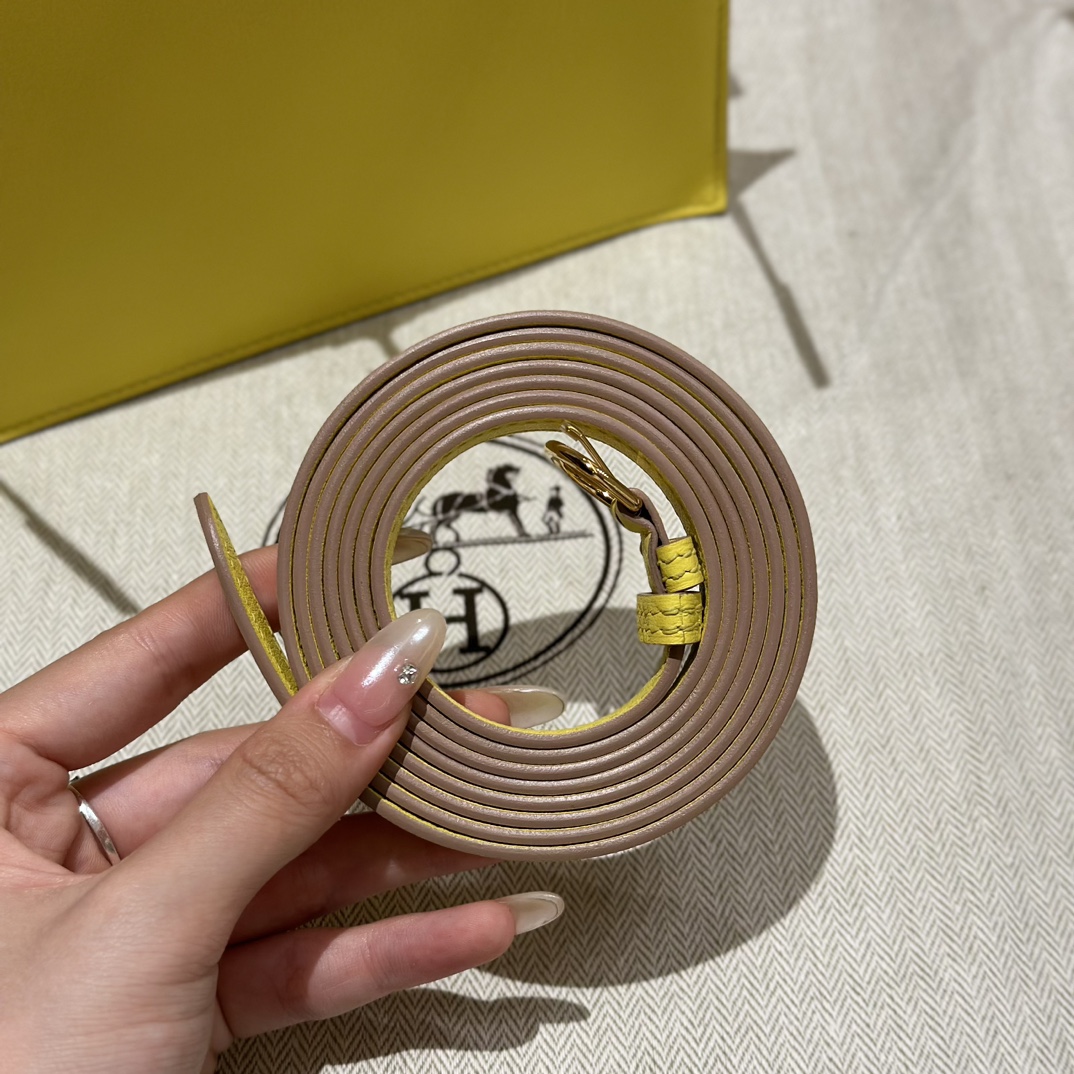 Hermès Kelly danse 22 Lime Swift