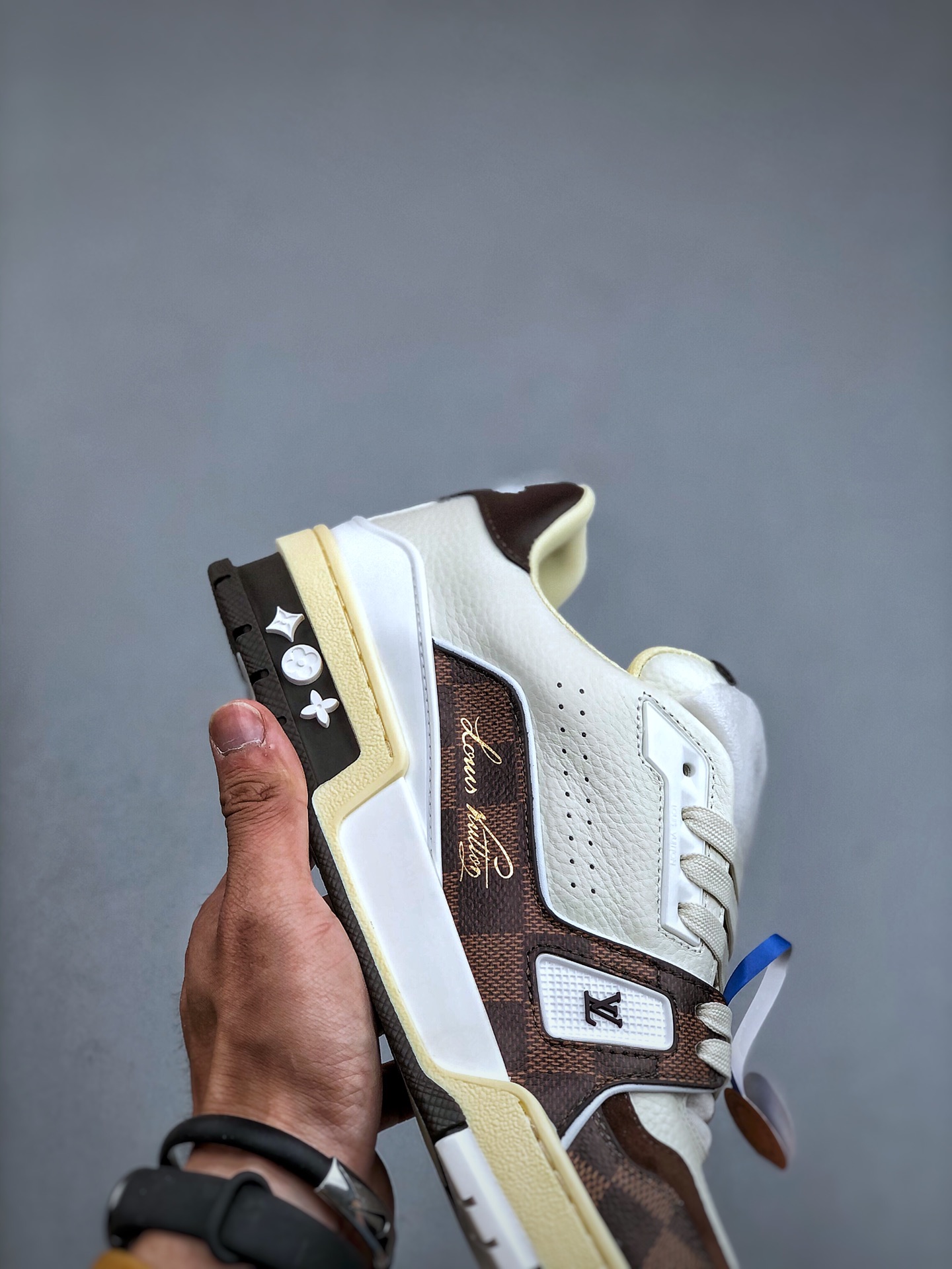 LOUIS VUITTON Trainer Round-Toe Lace-Up Low-Top Sneaker – Unisex, White, Brown & Black