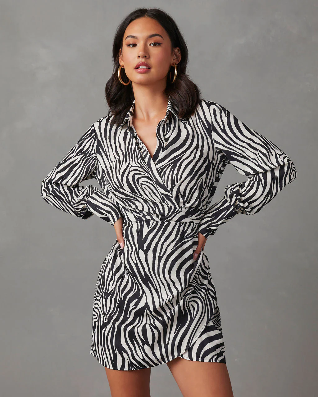 Kearis Zebra Print Long Sleeve Mini Dress