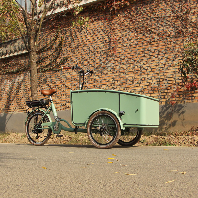 Electric tricycle SLS-0006-2