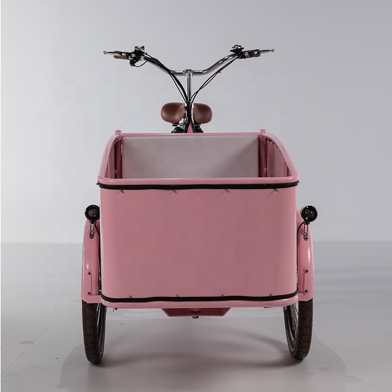Electric tricycle SLS-0006-2
