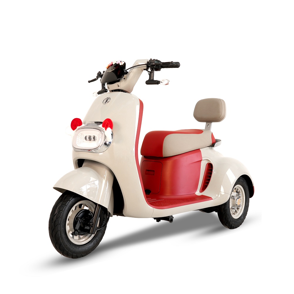 Electric tricycle OPAI-V9