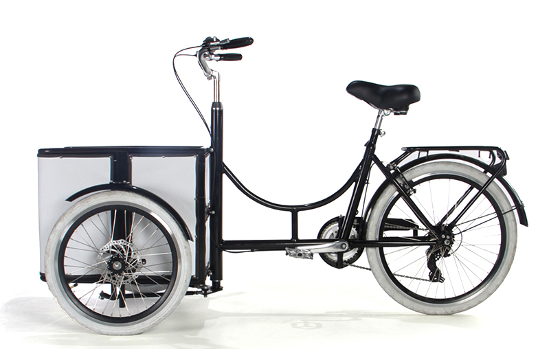 Electric tricycle SLS-0018