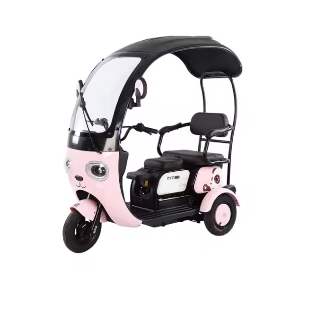 Electric tricycle CHENLU-X6