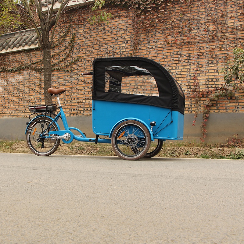 Electric tricycle SLS-0006-2