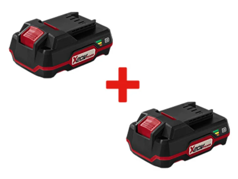 PARKSIDE Lot de 2 Batteries PAP 20 B1, 2 Ah, 20 V