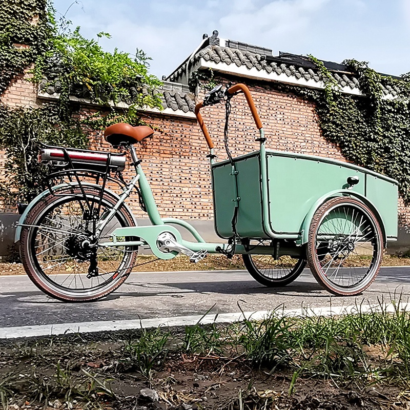Electric tricycle SLS-0006-3