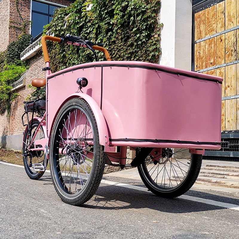 Electric tricycle SLS-0006-3