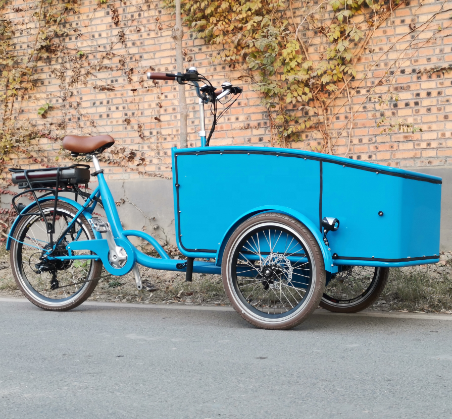 Electric tricycle SLS-0006-2