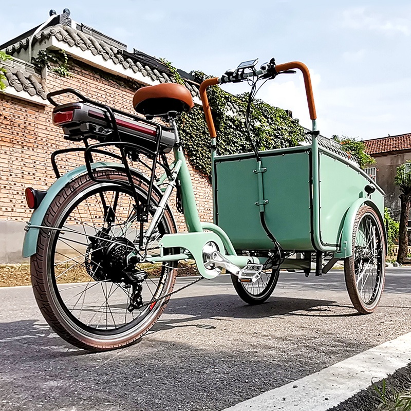 Electric tricycle SLS-0006-3
