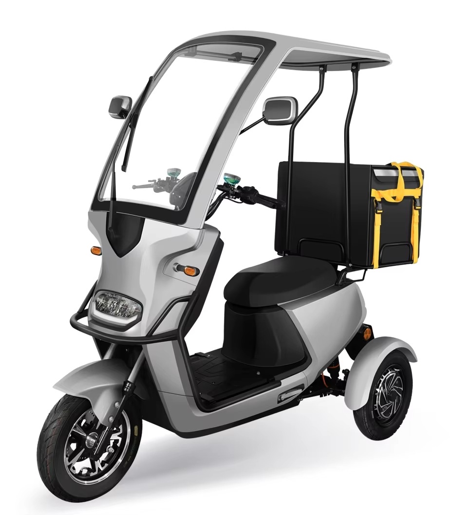 Electric tricycle LEO-LS-3