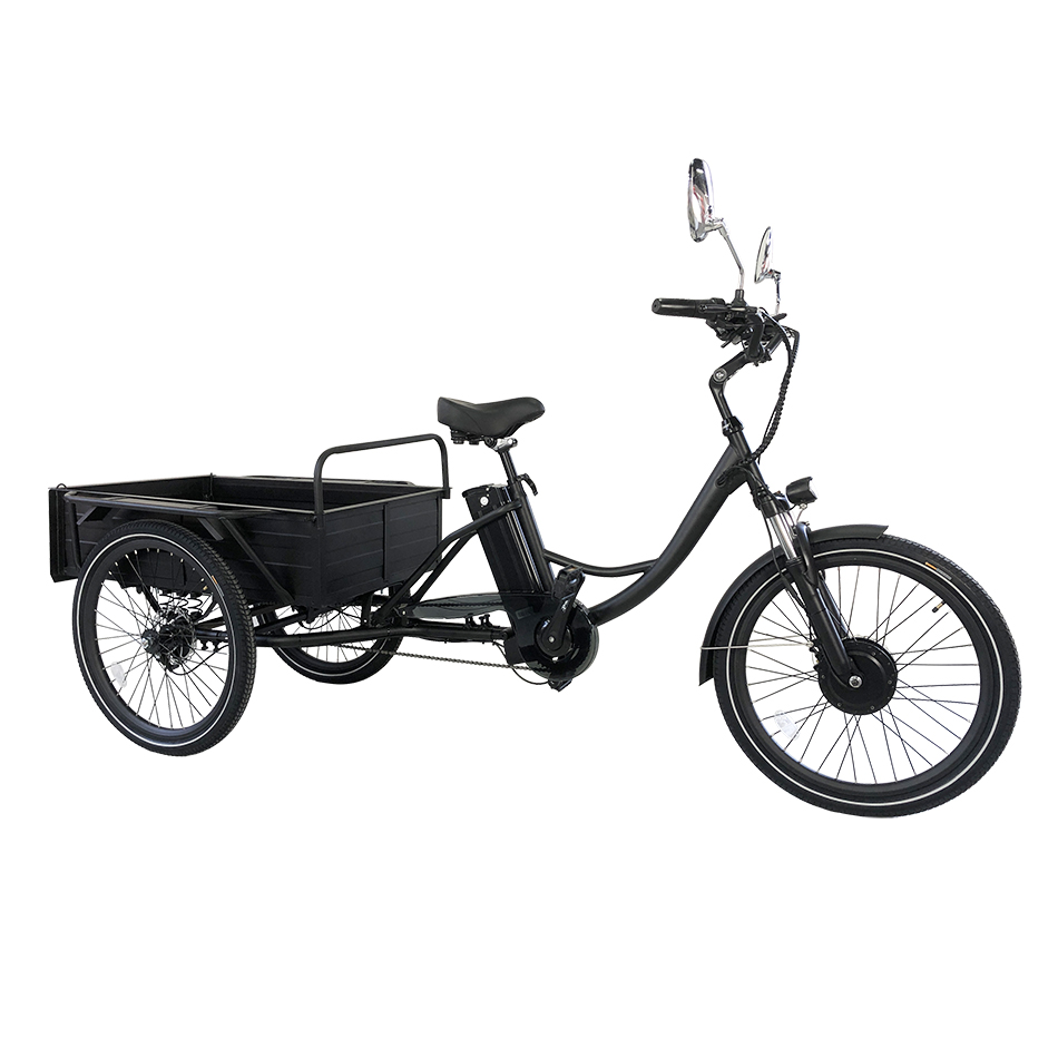 Electric tricycle  Cemoto-CEM-ET01C