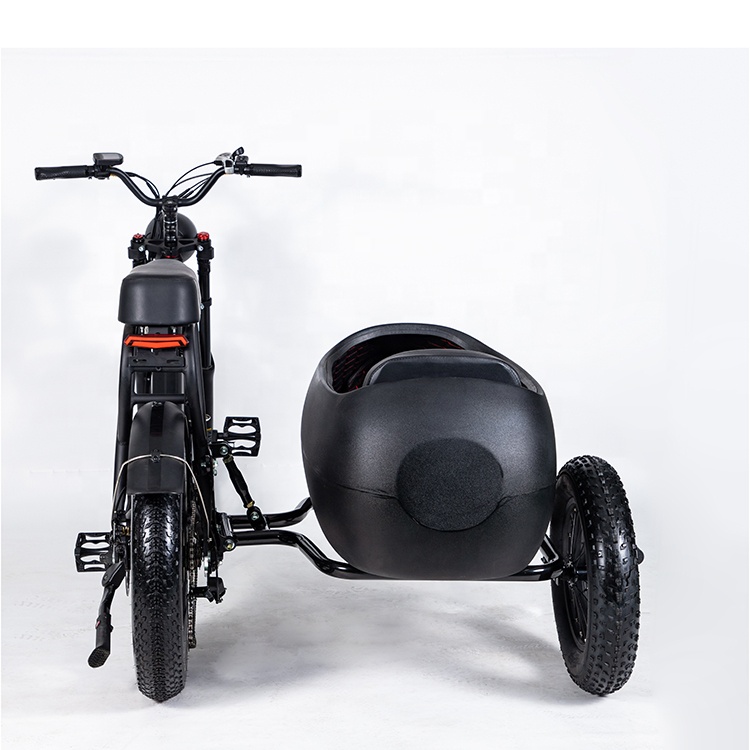 Electric tricycle AYC-ES75