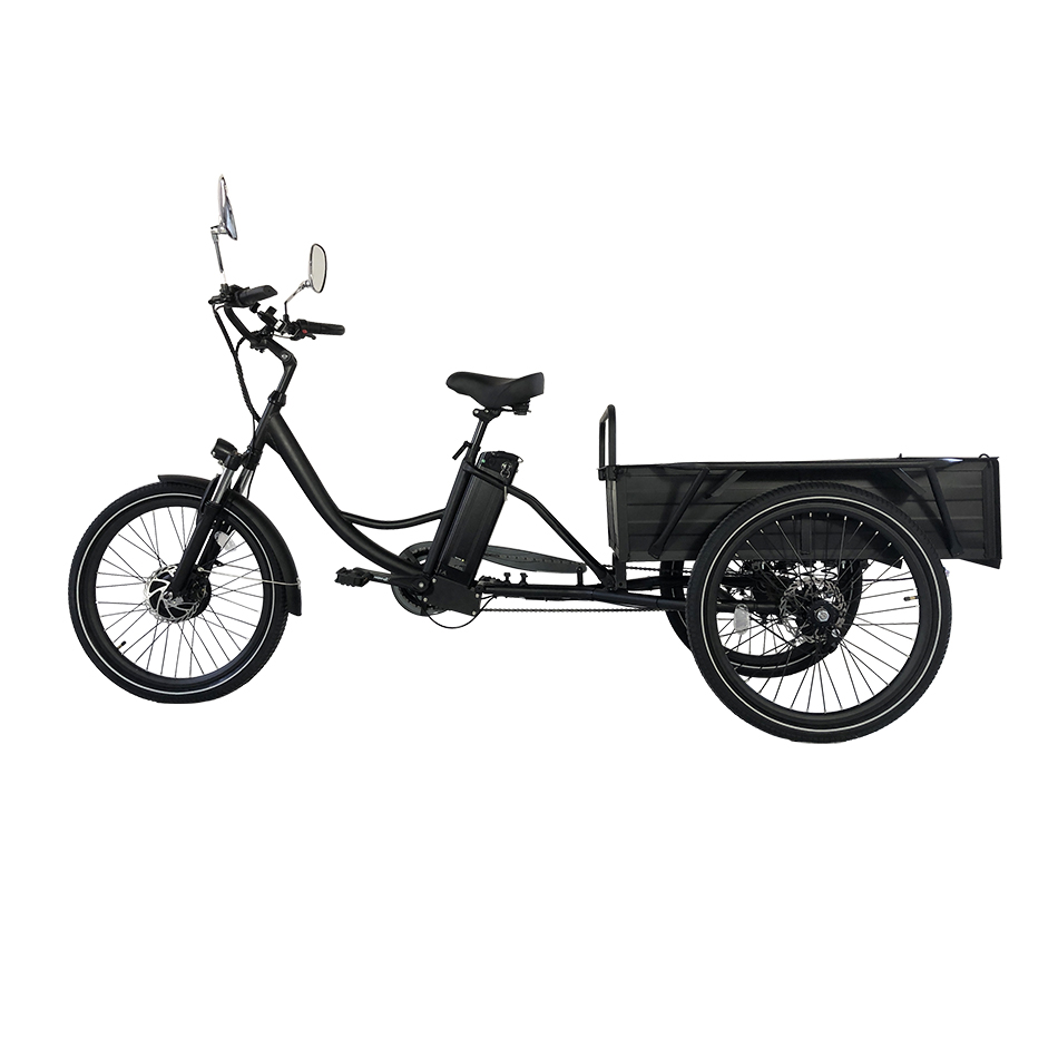 Electric tricycle  Cemoto-CEM-ET01C