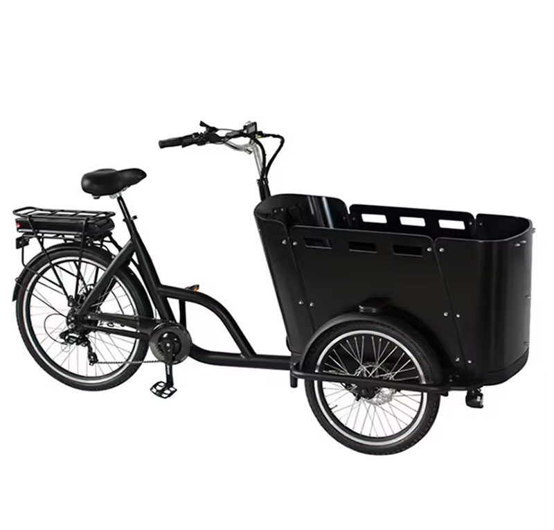 Electric tricycle YASANMOTOR-ET-010 Cargo