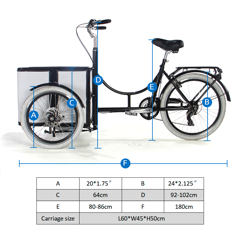 Electric tricycle SLS-0018