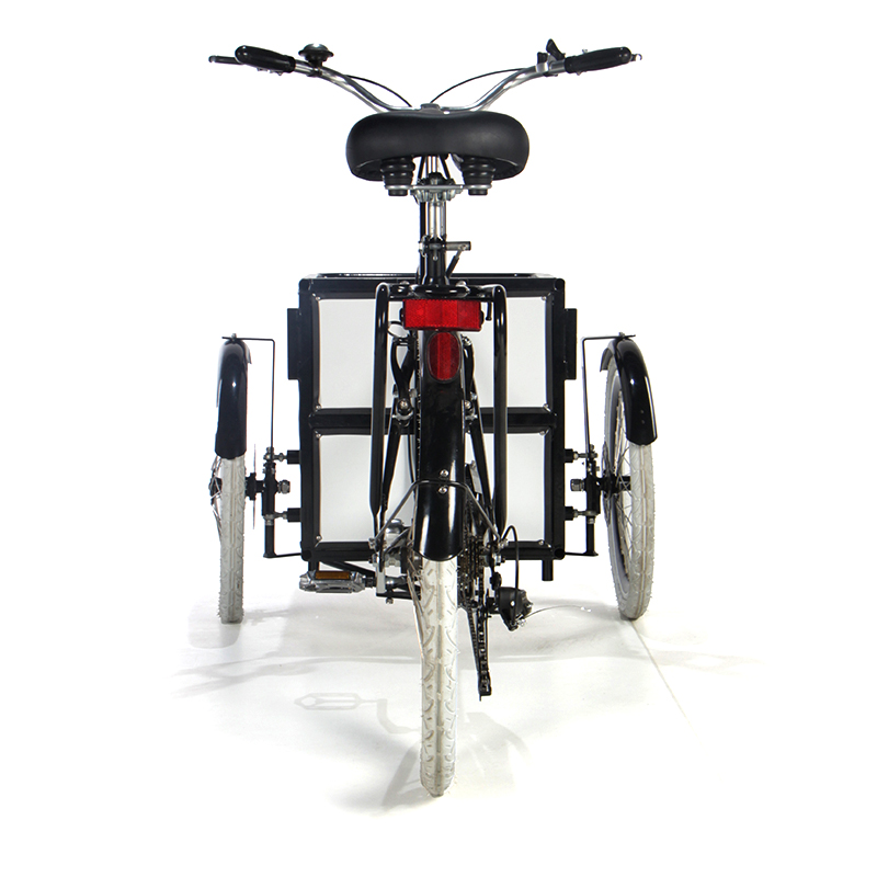 Electric tricycle SLS-0018