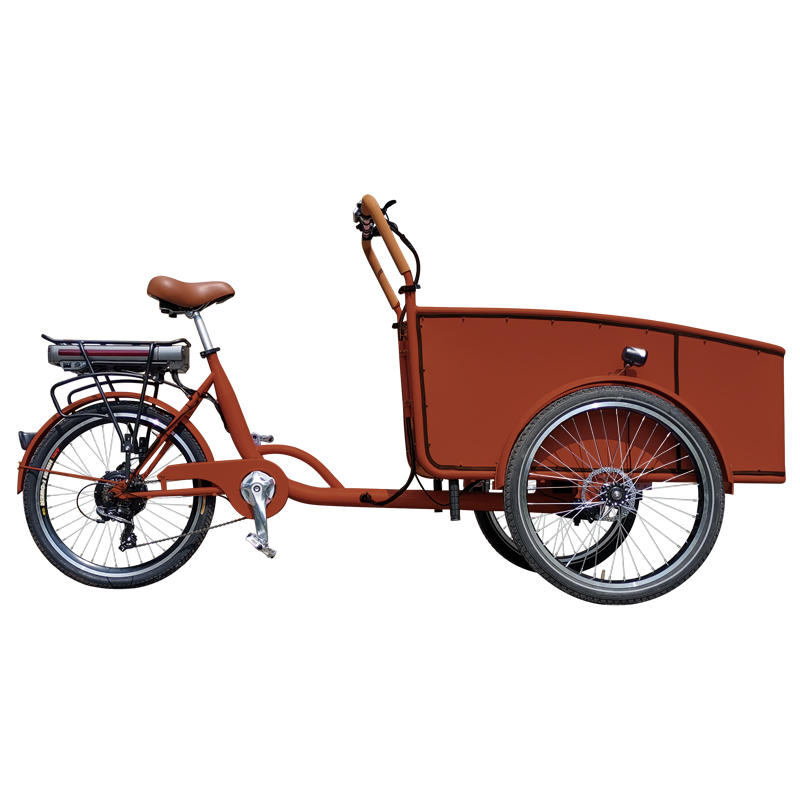 Electric tricycle SLS-0006-2