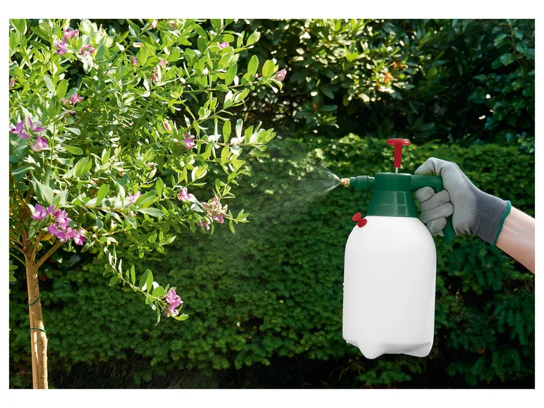 PARKSIDE Pulvérisateur à pression, 2 L