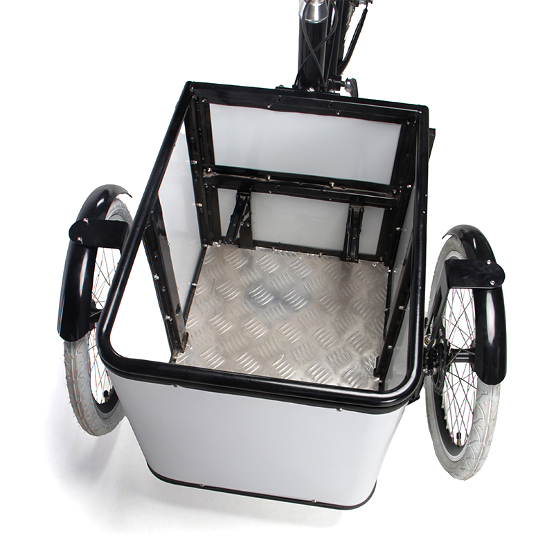 Electric tricycle SLS-0018