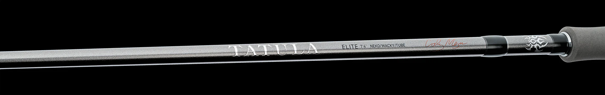Daiwa Tatula Elite AGS Spinning Rods