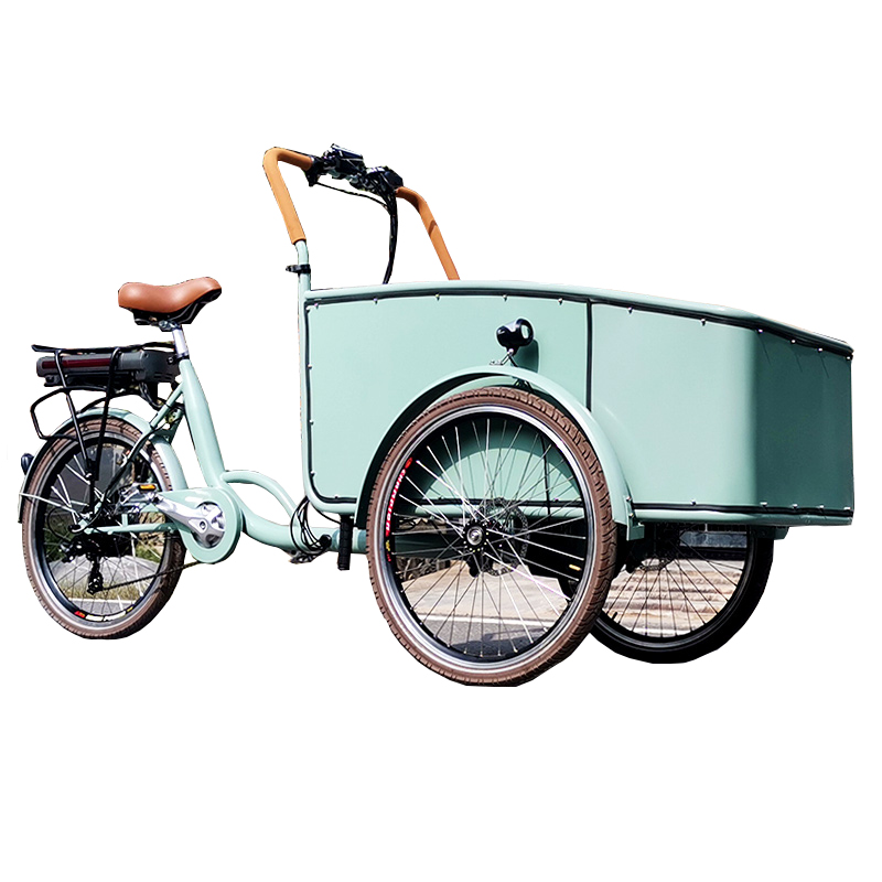Electric tricycle SLS-0006-3