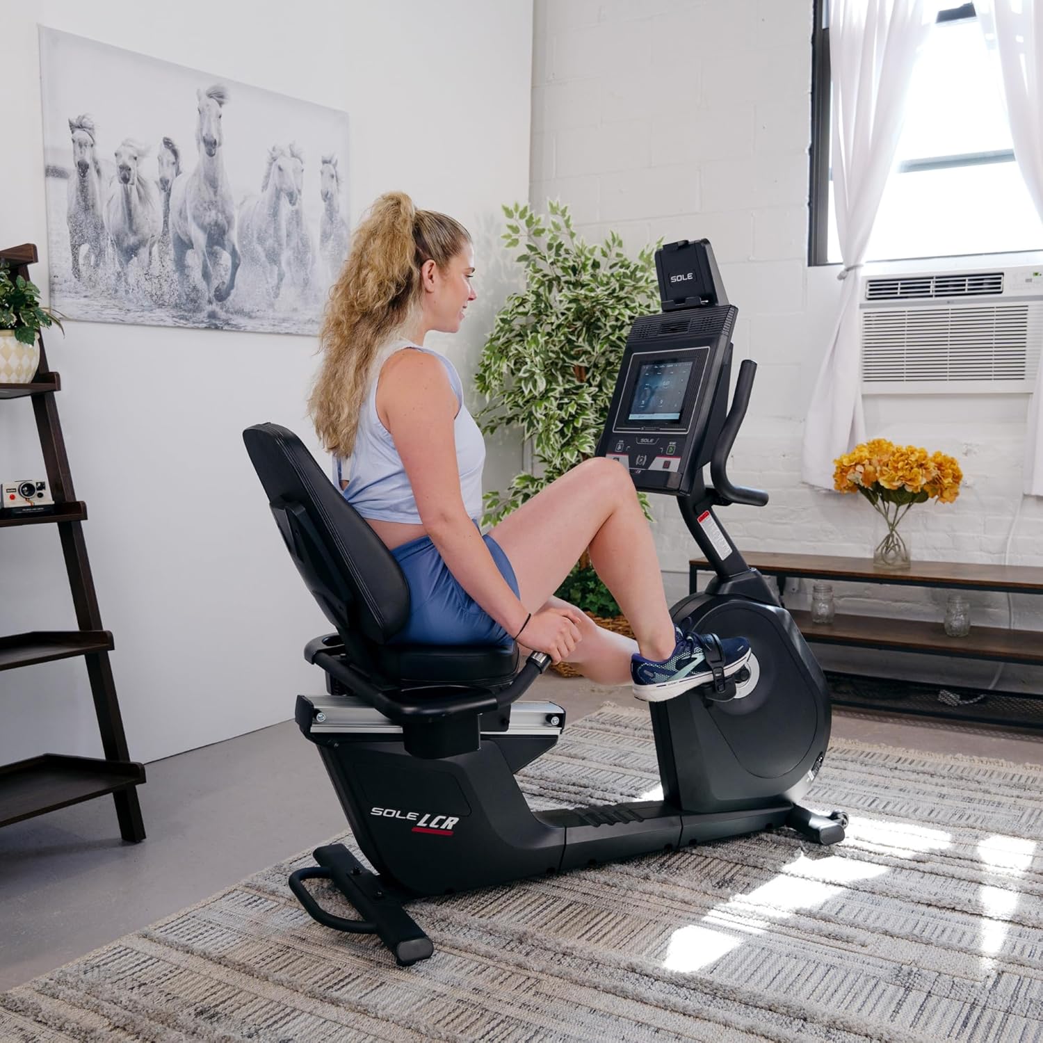 Exercise Bikes - Upright, Recumbent Bikes for Home Fitness, Indoor Gym Equipment, Seat Cushion, Touch Screen/LCD Display Options