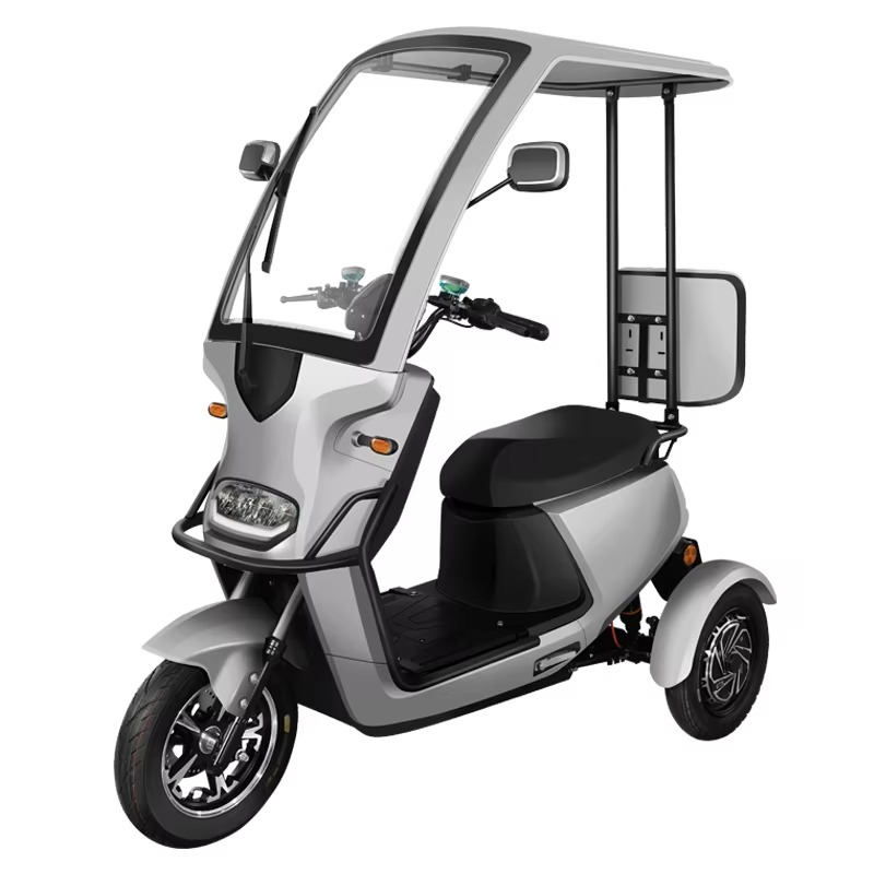 Electric tricycle LEO-LS-3