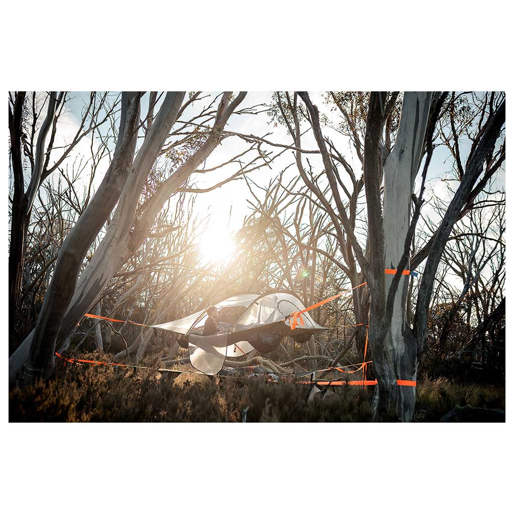 Safari Stingray Tree Tent | 3 Person