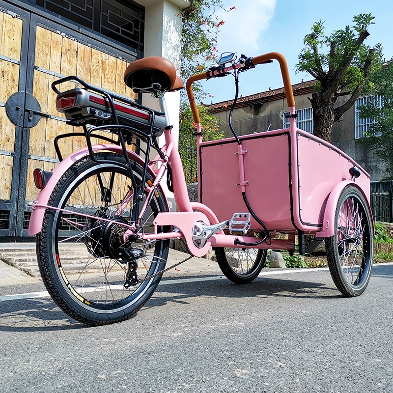Electric tricycle SLS-0006-3