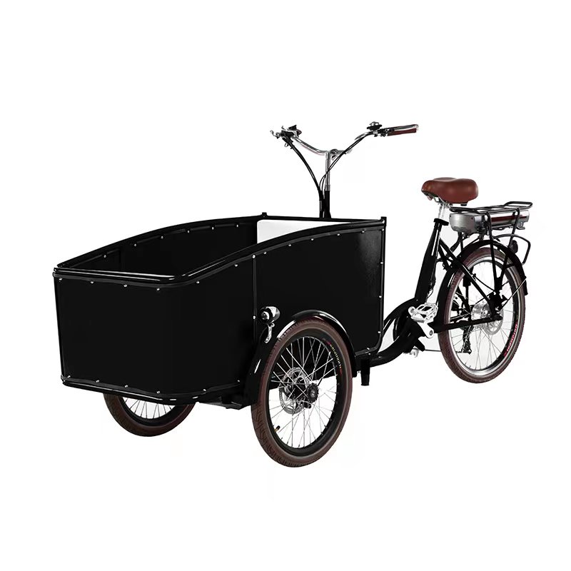 Electric tricycle SLS-0006-2
