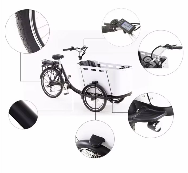 Electric tricycle YASANMOTOR-ET-010 Cargo