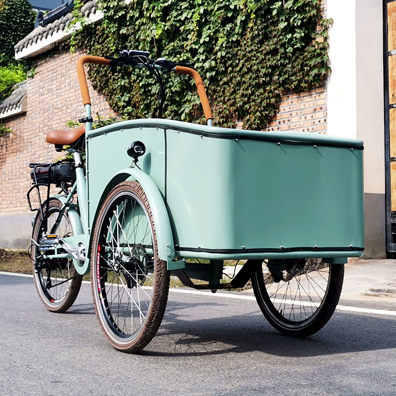 Electric tricycle SLS-0006-3