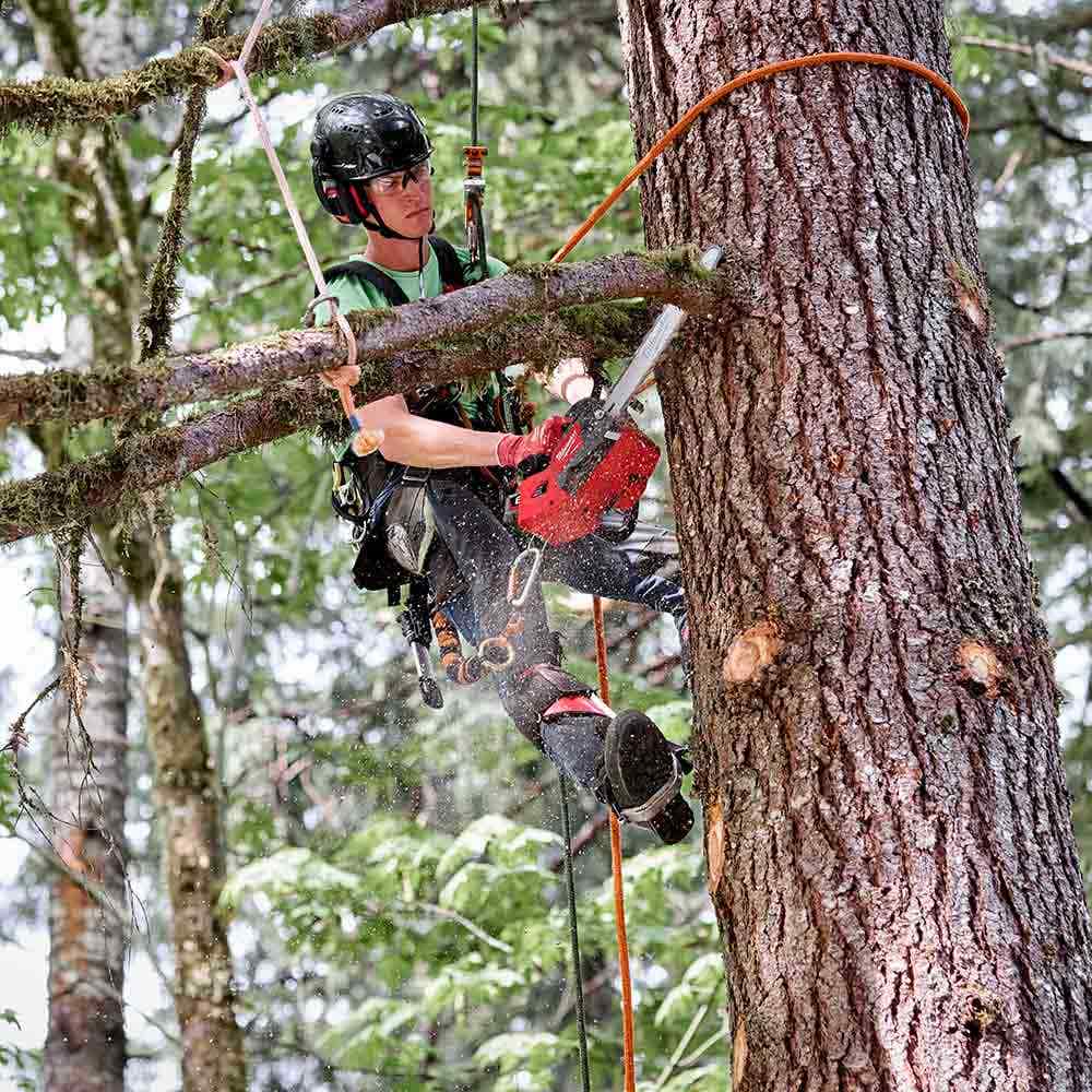 MILWAUKEE 18V FUEL™ 356mm ( 14") Top Handle Chainsaw Skin M18FTCHS140