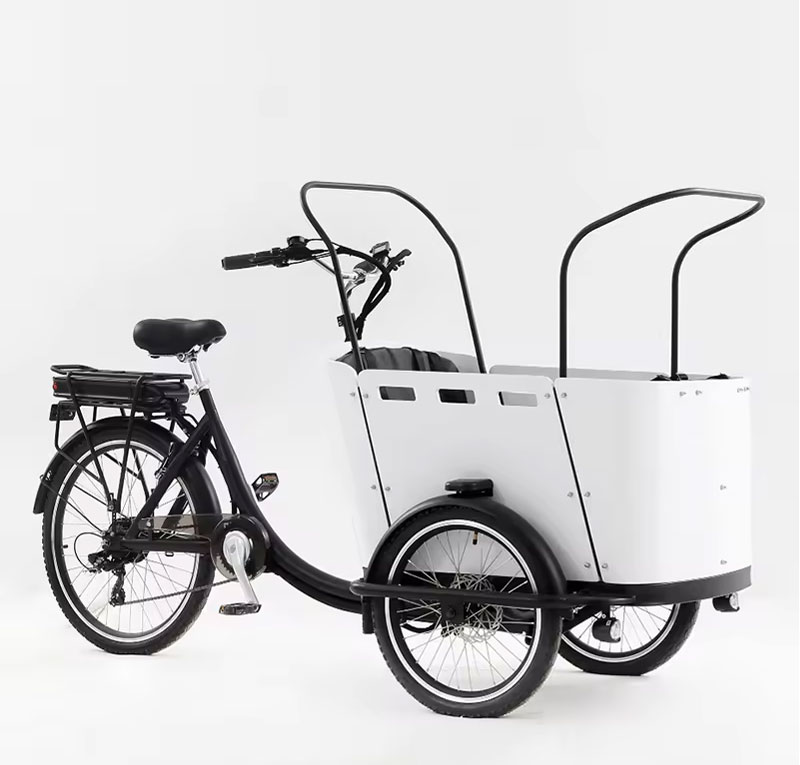 Electric tricycle YASANMOTOR-ET-010 Cargo