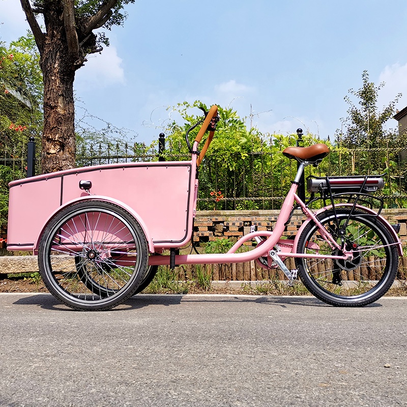 Electric tricycle SLS-0006-3