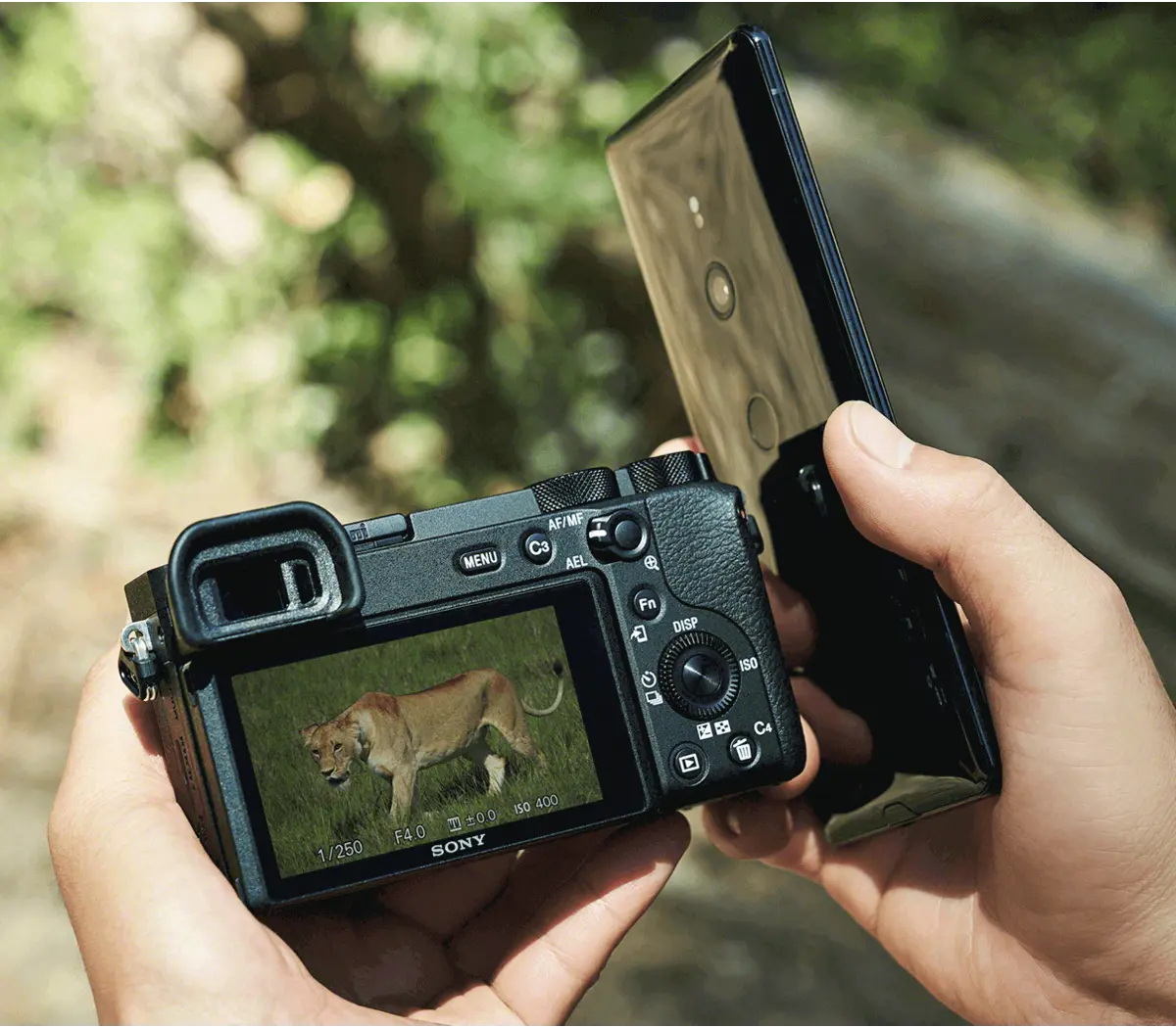 Alpha 6600 - APS-C Interchangeable Lens Camera 24.2MP, 11FPS, 4K/30p