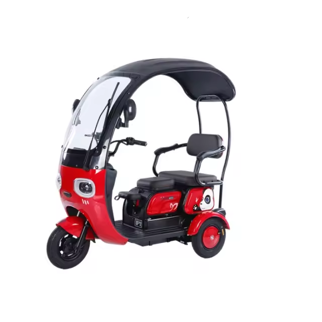 Electric tricycle CHENLU-X6