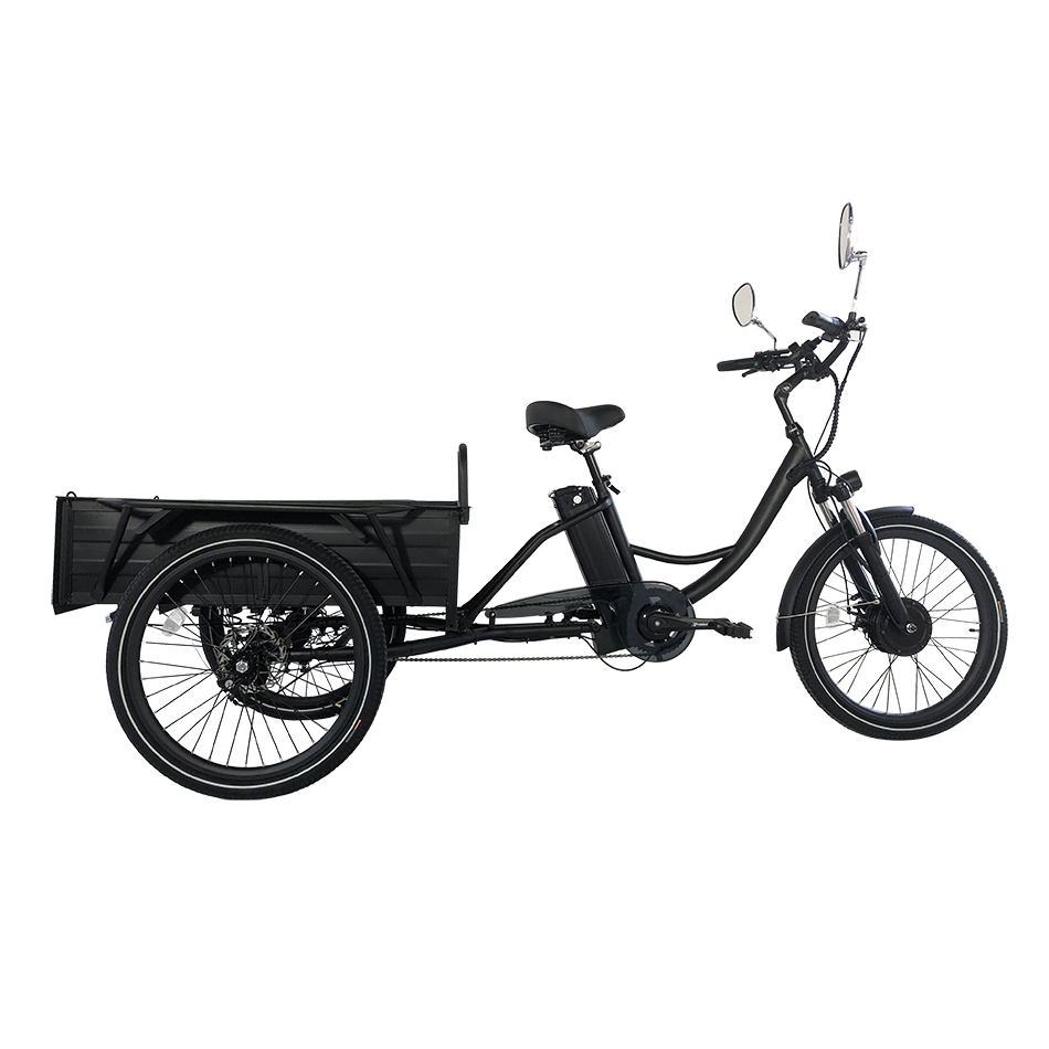Electric tricycle  Cemoto-CEM-ET01C