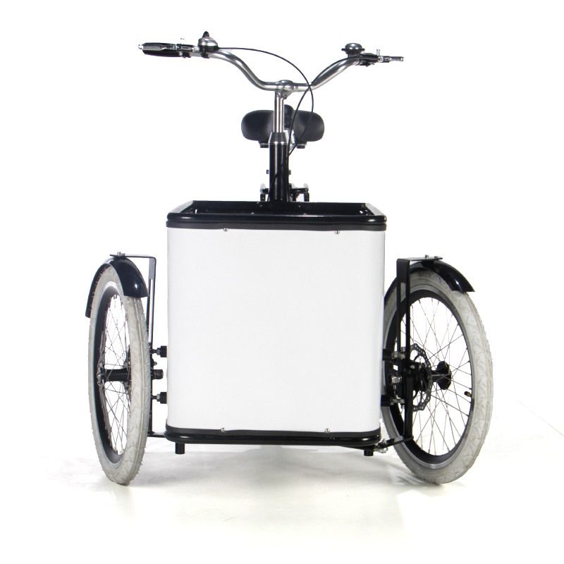 Electric tricycle SLS-0018