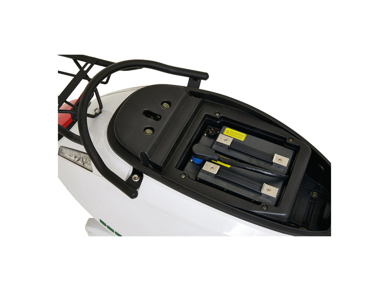 GreenStreet Elektroroller SEED Plus 1200 W 45 km/h inkl. 2 Akkus und Topcase