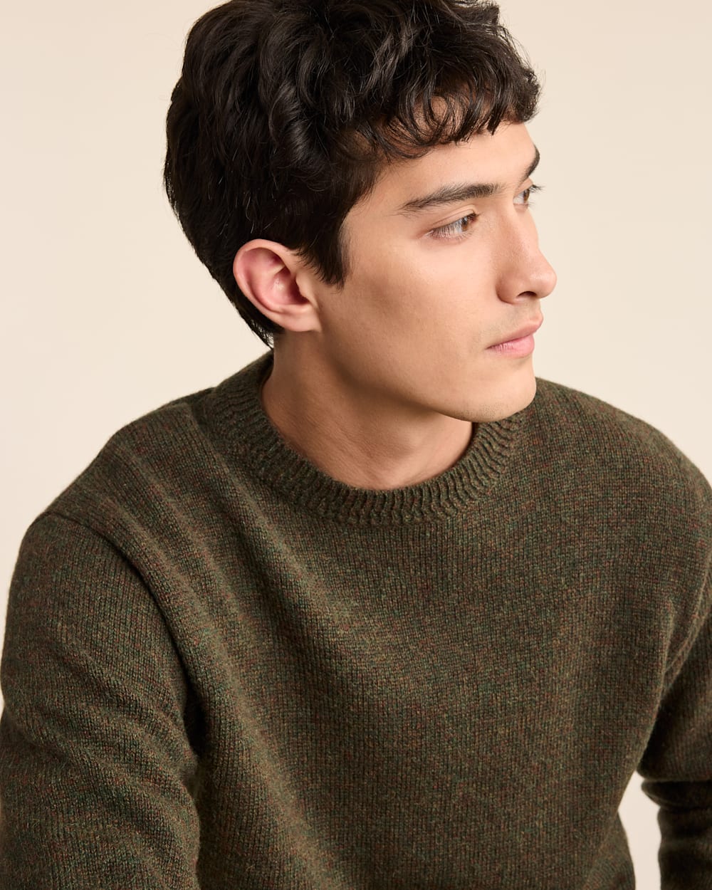 MEN'S SHETLAND COLLECTION SWEATER