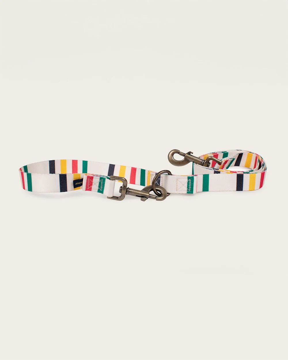 GLACIER NATIONAL PARK ADVENTURE LEASH