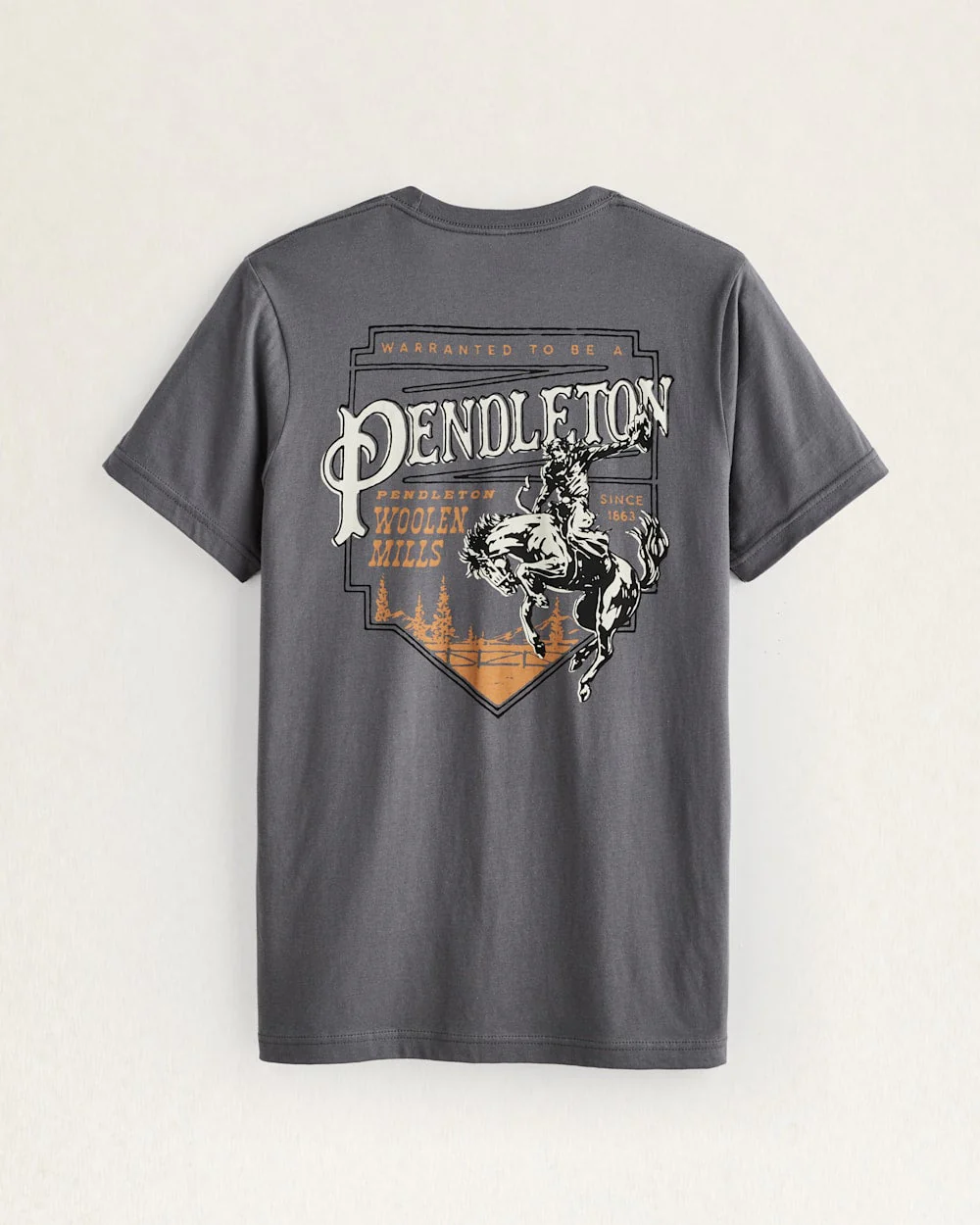 MEN'S RODEO PLAQUE GRAPHIC TEE