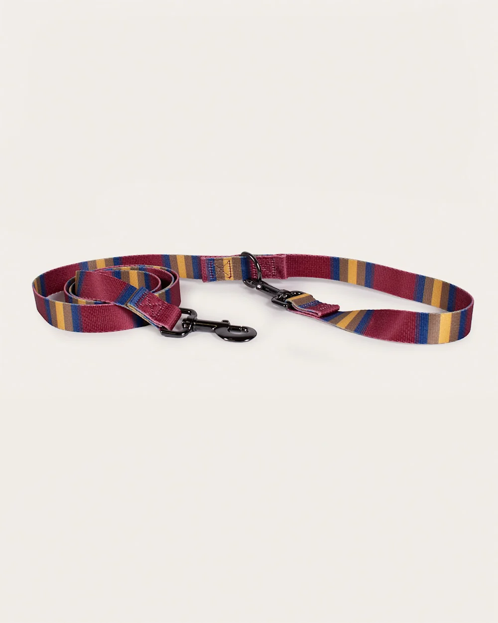 ZION NATIONAL PARK ADVENTURE LEASH