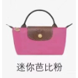 Longchamp mini dumpling bags nylon bag very cute and fancy