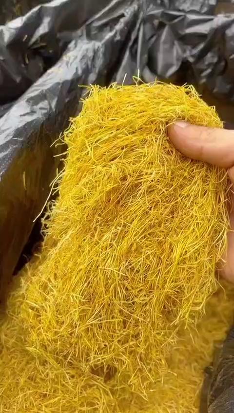 Loose Tobacco Free Shipping